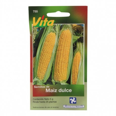 SEMILLAS DE MAÍZ DULCE EPIS 755 - Envío Gratuito