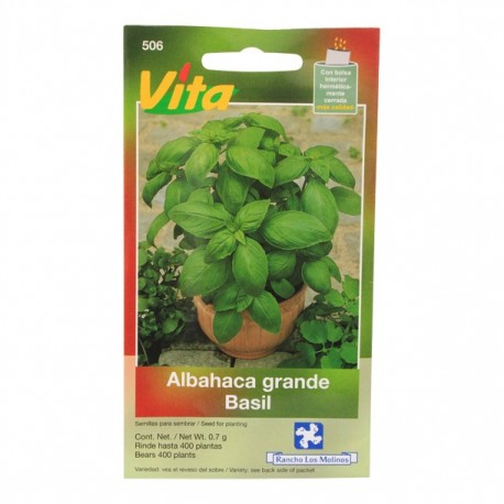 SEMILLAS DE ALBAHACA GRANDE VERDE 506 - Envío Gratuito