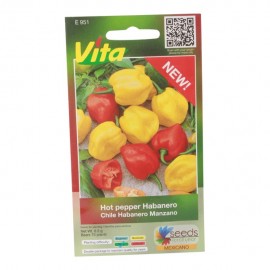 SEMILLAS DE CHILE HABANERO MANZANO 951 - Envío Gratuito