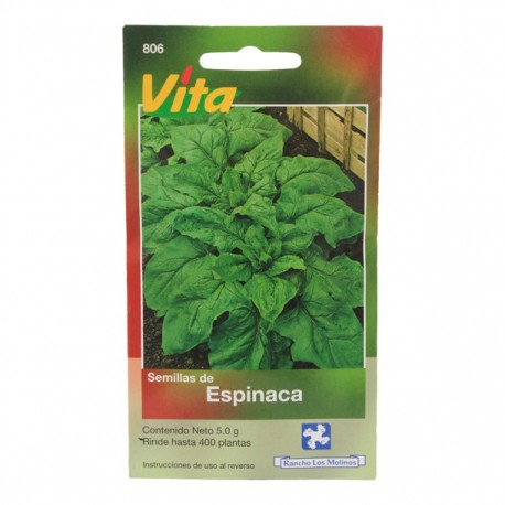 SEMILLAS DE ESPINACA VIROFLAY 806 - Envío Gratuito
