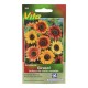 SEMILLAS DE GIRASOL BELLEZA DE OTONO 389 - Envío Gratuito