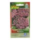SEMILLAS DE ALISO VIOLETA 110 - Envío Gratuito