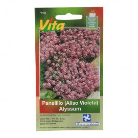 SEMILLAS DE ALISO VIOLETA 110 - Envío Gratuito