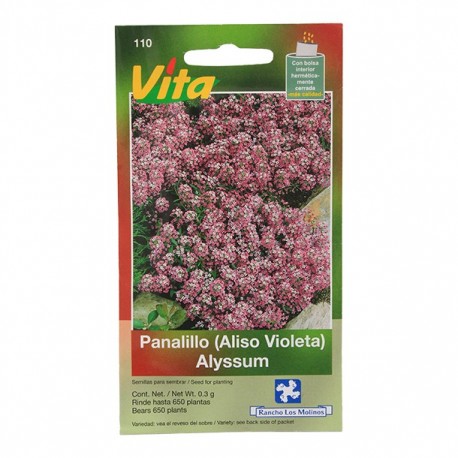 SEMILLAS DE ALISO VIOLETA 110 - Envío Gratuito