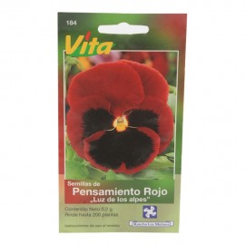 SEMILLAS DE PENSAMIENTO ROJO LUZ DE LOS A. 184 - Envío Gratuito