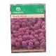 SEMILLA PANALILLO MORADO 122 - Envío Gratuito