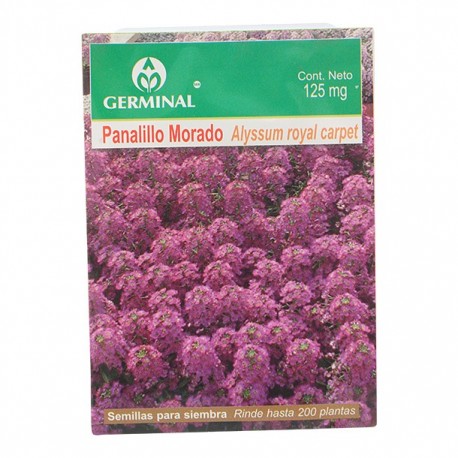 SEMILLA PANALILLO MORADO 122 - Envío Gratuito
