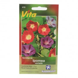 SEMILLAS DE IPOMEA VARIADA 410 - Envío Gratuito