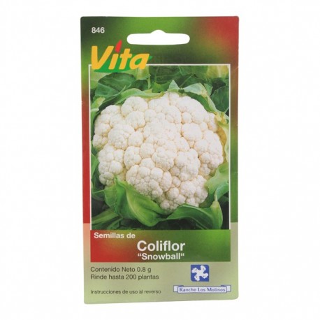 SEMILLAS DE COLIFLOR DE LAS CUATRO ESTACIONES 846 - Envío Gratuito