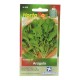 SEMILLAS DE ARUGULA - Envío Gratuito
