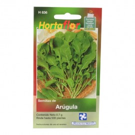 SEMILLAS DE ARUGULA - Envío Gratuito