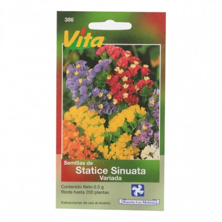 SEMILLAS DE STATICE SINUATA VARIADA 386 - Envío Gratuito