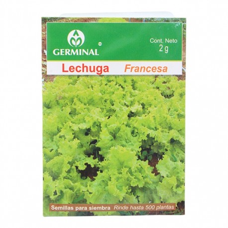 SEMILLA LECHUGA FRANCESA 223 - Envío Gratuito