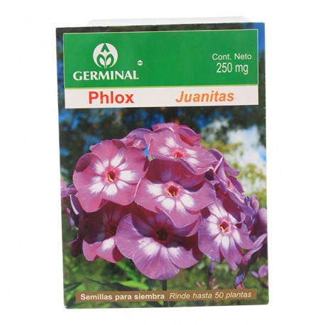 SEMILLA PHLOX - Envío Gratuito