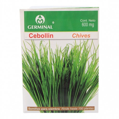 SEMILLA SEBOLLIN - Envío Gratuito