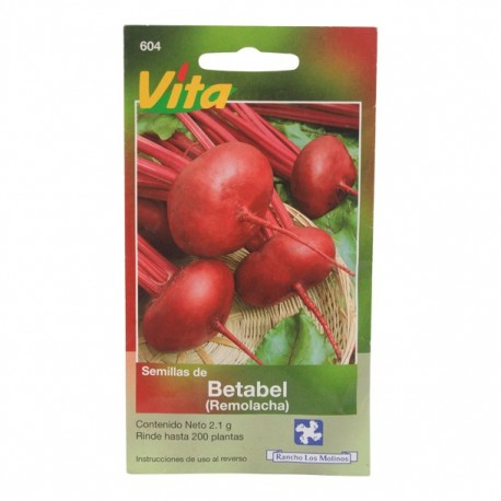 SEMILLAS DE BETABEL (REMOLACHA) 604 - Envío Gratuito