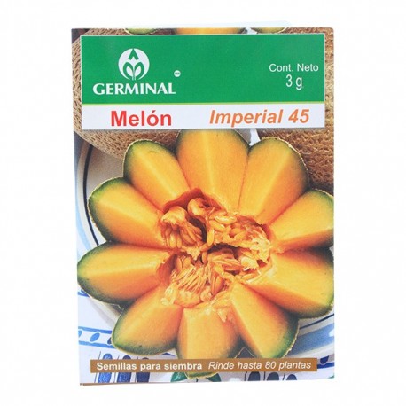 SEMILLA MELON 228 - Envío Gratuito