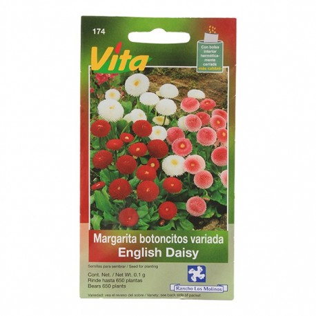 SEMILLAS DE MARGARITA BOTONCITOS 0174 - Envío Gratuito