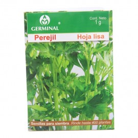 SEMILLAS DE PEREJIL HOJA LISA 207 - Envío Gratuito