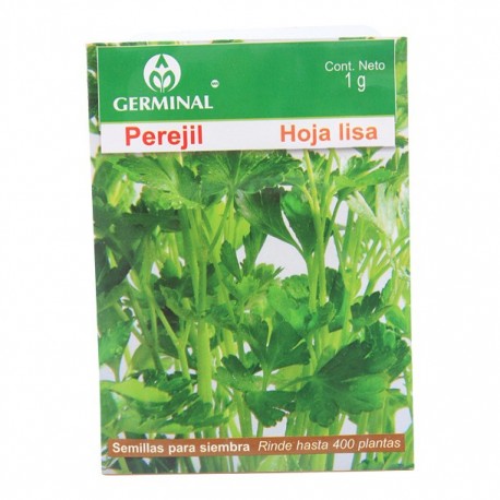 SEMILLAS DE PEREJIL HOJA LISA 207 - Envío Gratuito