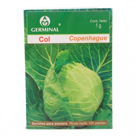 SEMILLAS DE COL COPENHAGE 211 - Envío Gratuito