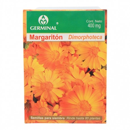 SEMILLA MARGARITON 100 - Envío Gratuito