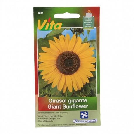 SEMILLAS DE GIRASOL DE FLOR GIGANTE 391 - Envío Gratuito