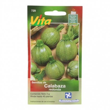 SEMILLAS DE CALABAZA REDONDA 729 - Envío Gratuito