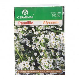 SEMILLA PANALILLO 110 - Envío Gratuito