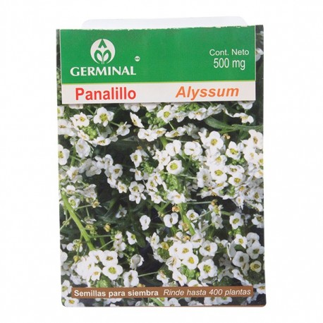 SEMILLA PANALILLO 110 - Envío Gratuito