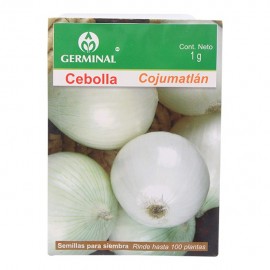 SEMILLA CEBOLLA COJUMATLAN 202 - Envío Gratuito