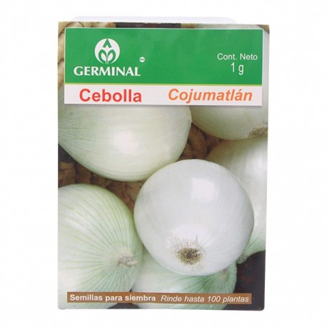 SEMILLA CEBOLLA COJUMATLAN 202 - Envío Gratuito