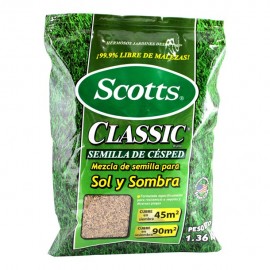 SEMILLAS PASTO ALTO RENDIMIENTO 1.36 KG - Envío Gratuito