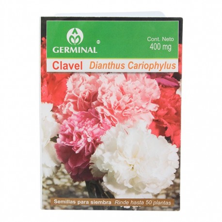 SEMILLA CLAVEL 102 - Envío Gratuito