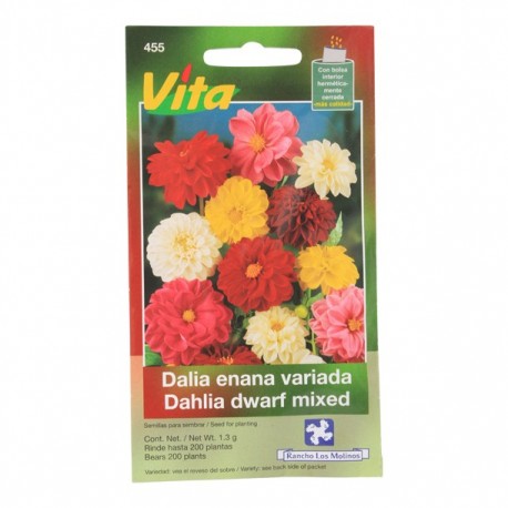 SEMILLAS DE DALIA ENANA 455 - Envío Gratuito