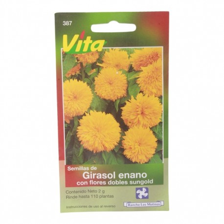 SEMILLAS DE GIRASOL SUNGOLD 387 - Envío Gratuito