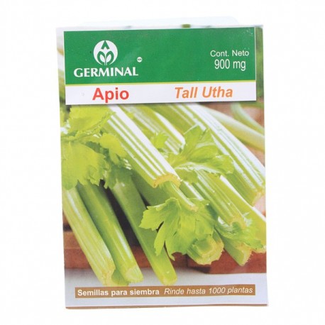SEMILLA APIO 215 - Envío Gratuito
