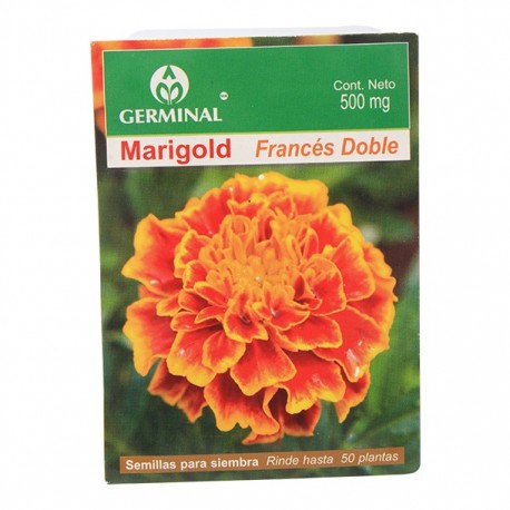 SEMILLA MARIGOLD 108 - Envío Gratuito