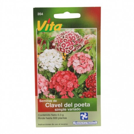 SEMILLAS DE CLAVEL DEL POETA SIMPLE VARIADO 354 - Envío Gratuito