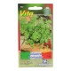 SEMILLAS DE CILANTRO 953 - Envío Gratuito