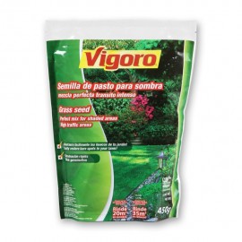 SEMILLA DE PASTO PARA SOMBRA 450 GR - Envío Gratuito