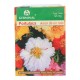 SEMILLA PORTULACA 124 - Envío Gratuito