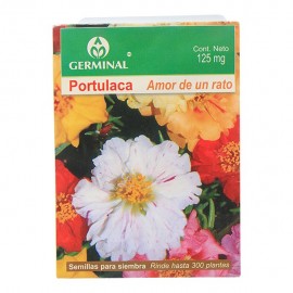 SEMILLA PORTULACA 124 - Envío Gratuito