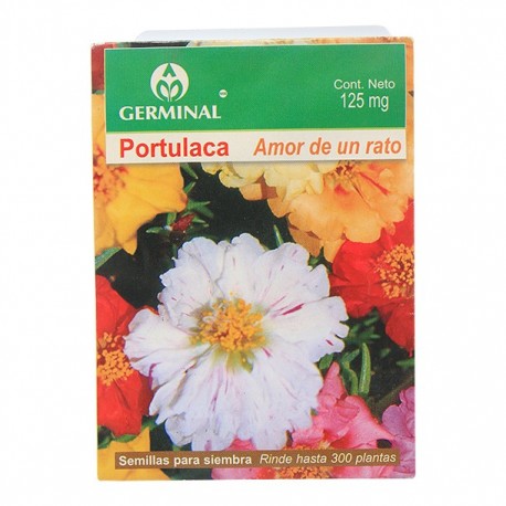 SEMILLA PORTULACA 124 - Envío Gratuito