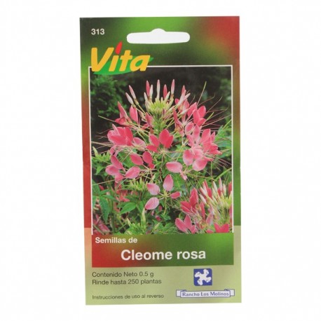 SEMILLAS DE ROSA DE LA INDIA DBL VARIADA 378 - Envío Gratuito