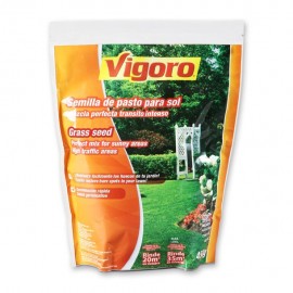 SEMILLA DE PASTO PARA SOL 450 GR - Envío Gratuito