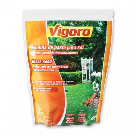 SEMILLA DE PASTO PARA SOL 450 GR - Envío Gratuito