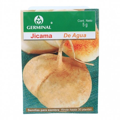 SEMILLA JICAMA 222 - Envío Gratuito