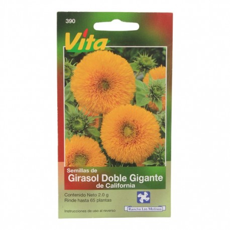 SEMILLAS DE GIRASOL DBL GIGANTE DE CALIFORNIA 390 - Envío Gratuito