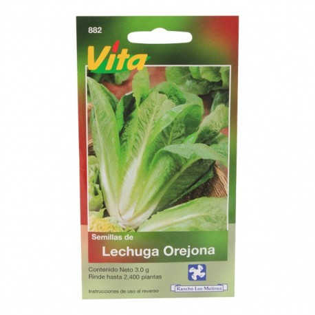 SEMILLAS DE LECHUGA OREJONA - Envío Gratuito